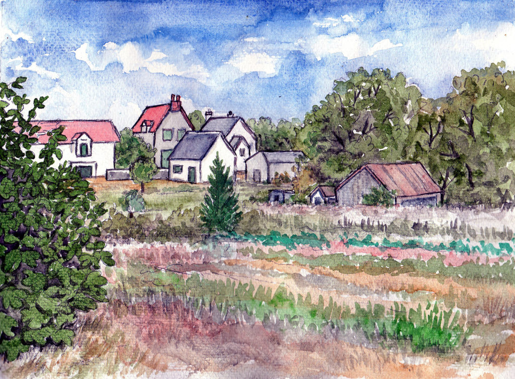 Selles2_1